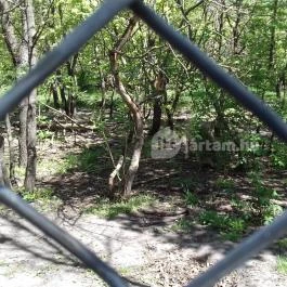 Veresegyházi Medveotthon, Veresegyház - 