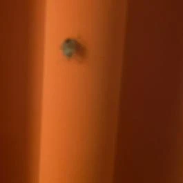 Hotel Bellevue Esztergom - Egyéb