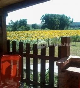 Napraforgó Vendégház 