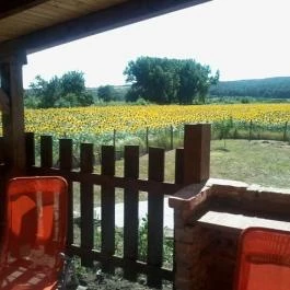 Napraforgó Vendégház Demjén - Környék