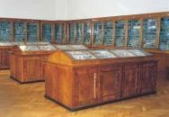 Viski Károly Múzeum Kalocsa