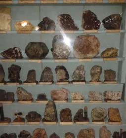 Viski Károly Múzeum