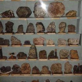 Viski Károly Múzeum, Kalocsa - 