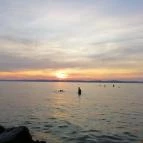 Galérius Vízpart Apartmanház Siófok - Környék