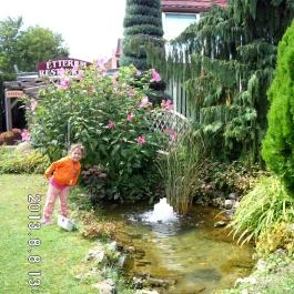 Piknik Wellness Hotel, Siófok - Medence/kert