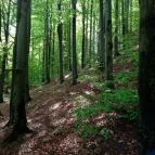 Boróka Panzió Parádfürdő - Egyéb