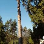 Boróka Panzió Parádfürdő - Egyéb