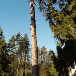 Boróka Panzió Parádfürdő - Egyéb