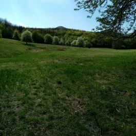 Boróka Panzió Parádfürdő - Egyéb