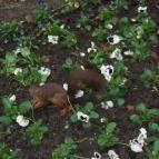 Tapolca-Barlang Vendégház Miskolctapolca - Egyéb