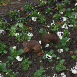 Tapolca-Barlang Vendégház Miskolctapolca - Egyéb