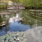 Tatai Fényes tanösvény Tata - Egyéb