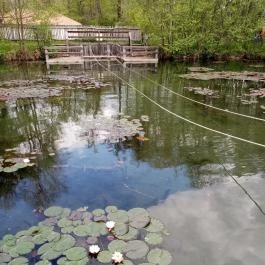 Tatai Fényes tanösvény Tata - Egyéb