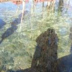 Varjú Fogadó Tapolca - Környék