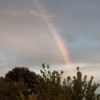 Várszálló Apartman Gyula - Környék