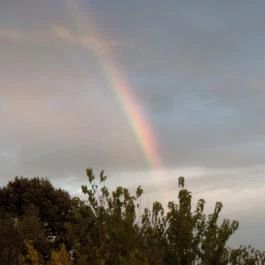 Várszálló Apartman Gyula - Környék