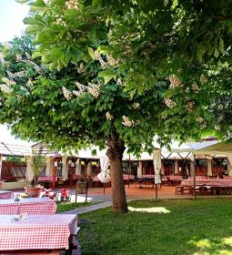 Szent Antal Fogadó étterme