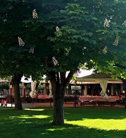 Szent Antal Fogadó étterme