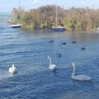 Club218 Siófok Siófok - Környék