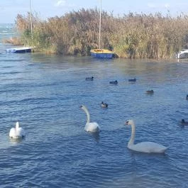 Club218 Siófok Siófok - Környék