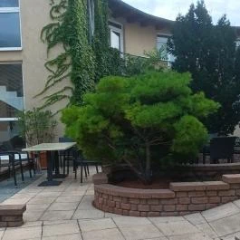 CE Plaza Hotel Siófok - Egyéb