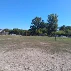 Richter Safari Park Nagykőrös - Egyéb