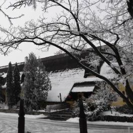 Nyerges Hotel Termál Monor - Külső kép