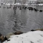 Nyerges Hotel Termál Monor - Környék