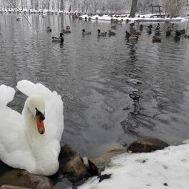 Nyerges Hotel Termál Monor - Környék