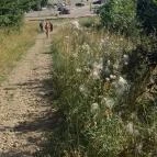 Galya-kilátó Galyatető - Egyéb