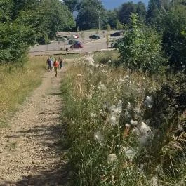 Galya-kilátó, Galyatető - Egyéb