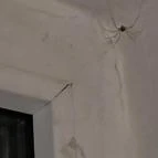 Világos Hotel Balatonvilágos - Szobák