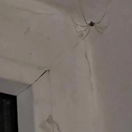 Világos Hotel Balatonvilágos - Szobák