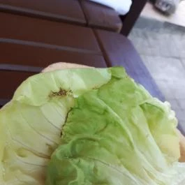 Excalibur Középkori Lovag Étterem Eger - Étel/ital