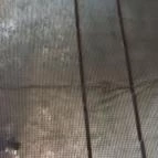 Hotel Dzsungel Nyíregyháza - Belső