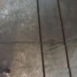 Hotel Dzsungel Nyíregyháza - Belső