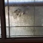 Hotel Dzsungel Nyíregyháza - Belső