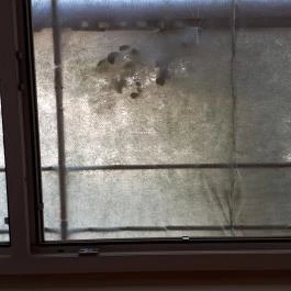 Hotel Dzsungel Nyíregyháza - Belső