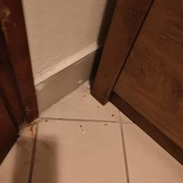 Sempre Panzió, Székesfehérvár - Egyéb