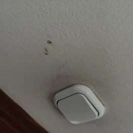 Sempre Panzió, Székesfehérvár - Egyéb