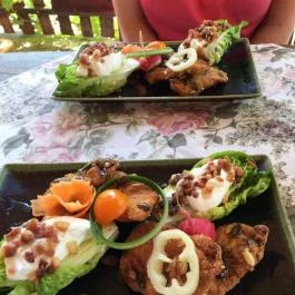 Kuti-Kerti Kisvendéglő Vászoly - Étel/ital