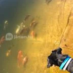 István Hotel Nagykanizsa - Környék