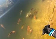 István Hotel Nagykanizsa