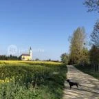 István Hotel Nagykanizsa - Környék