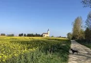 István Hotel Nagykanizsa