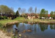 István Hotel Nagykanizsa