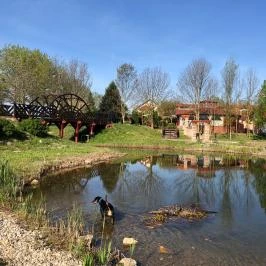 István Hotel Nagykanizsa - Környék