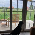 Pro Village Vendégházak Sopronkövesd - Belső