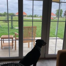 Pro Village Vendégházak, Sopronkövesd - Belső