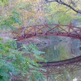 Hotel Orchidea Tengelic Tengelic - Környék